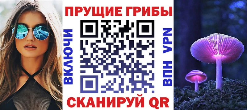 блэк спрут сайт  Долгопрудный  Псилоцибиновые грибы Psilocybine cubensis 